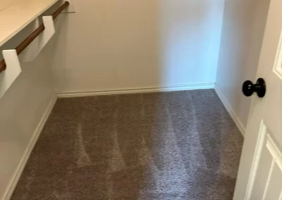 Home Cleaner